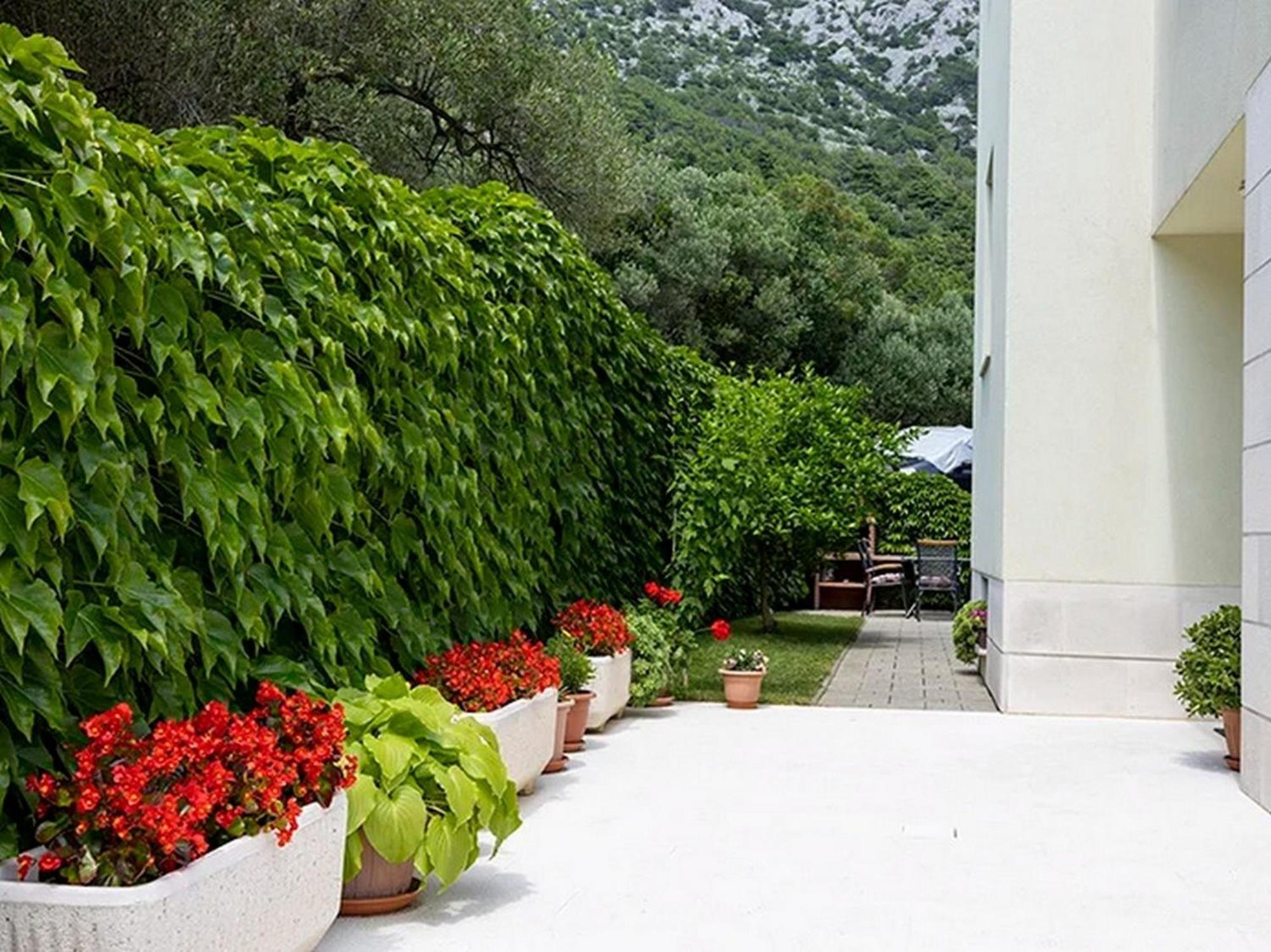 Apartments By The Sea Igrane, Makarska - 17292 Zewnętrze zdjęcie